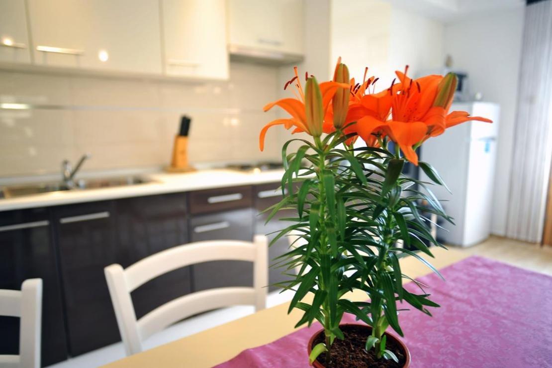 Apartmani Anita Медулин Экстерьер фото